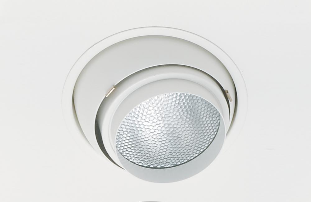 NMR 2L PAR30 EYE SILVER TRIM