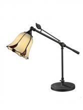 Desk Lamps