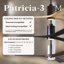 PA3_Downrod_Mounting_Infographic.jpg